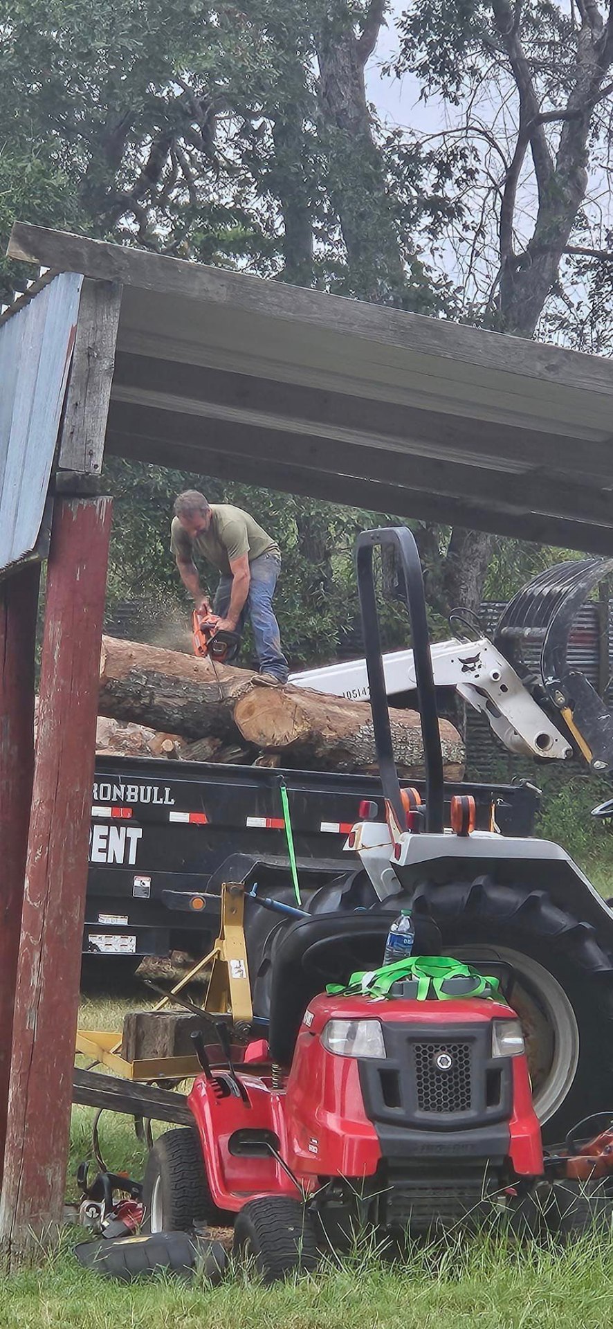 Stump Grinding project 2
