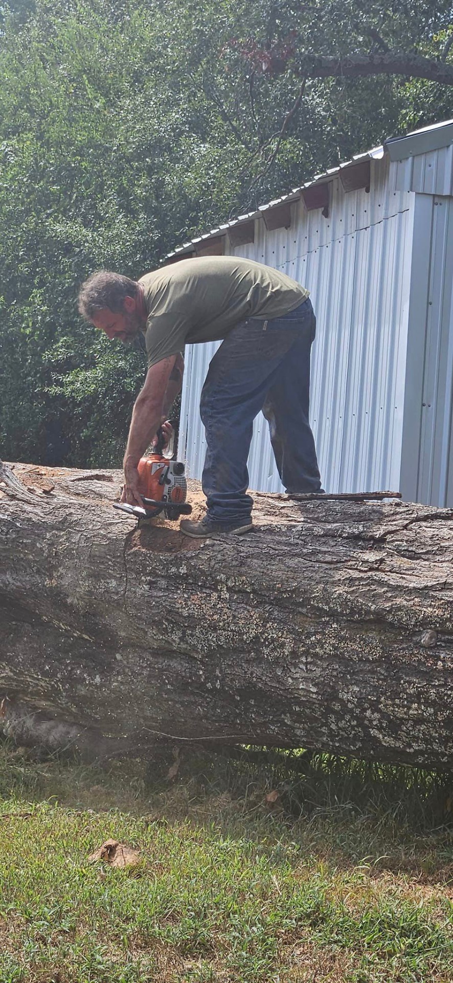 Stump Grinding project 3