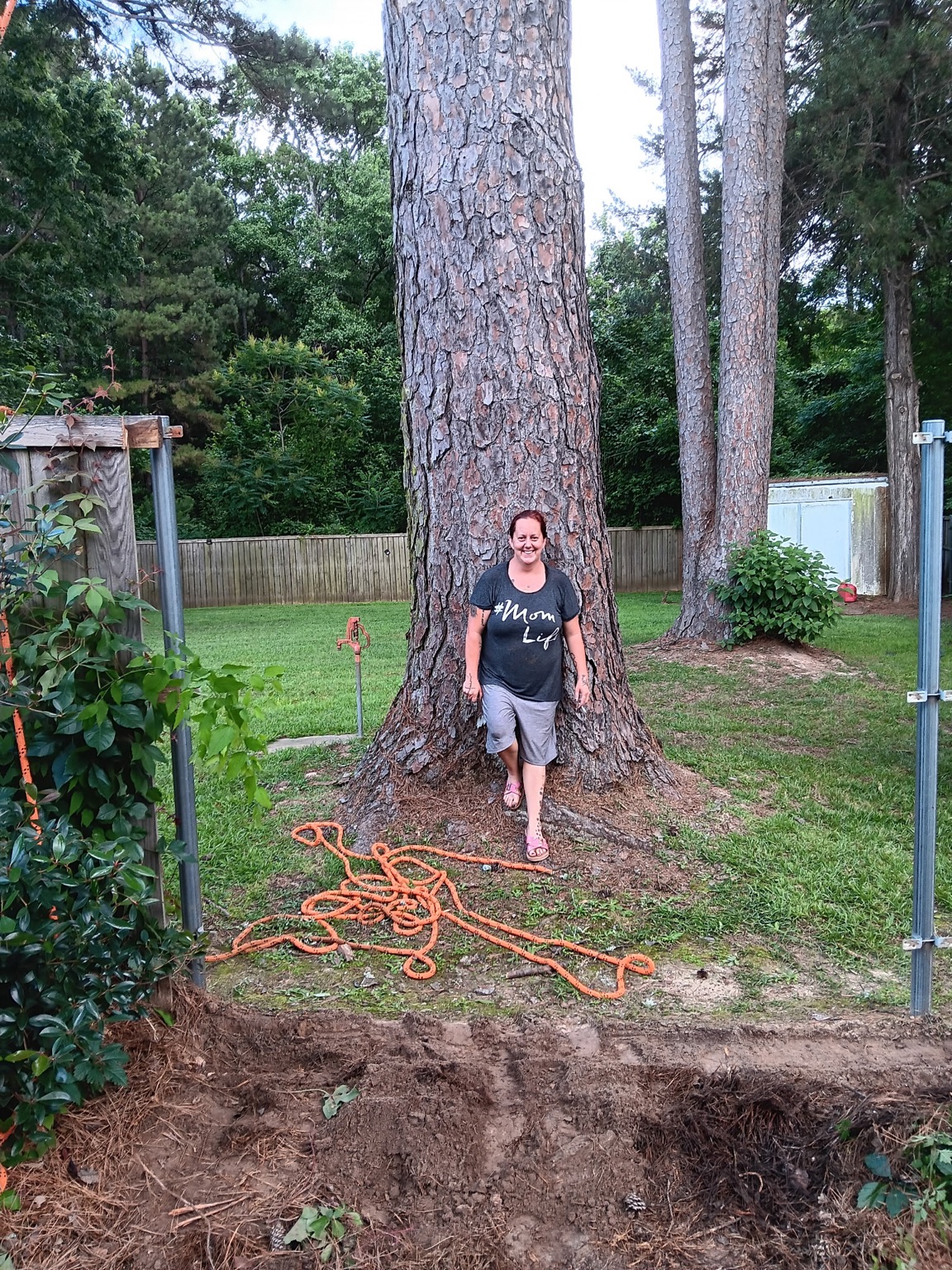 Owner's wife standing at the base of a massive pine tree to show the scale of the work