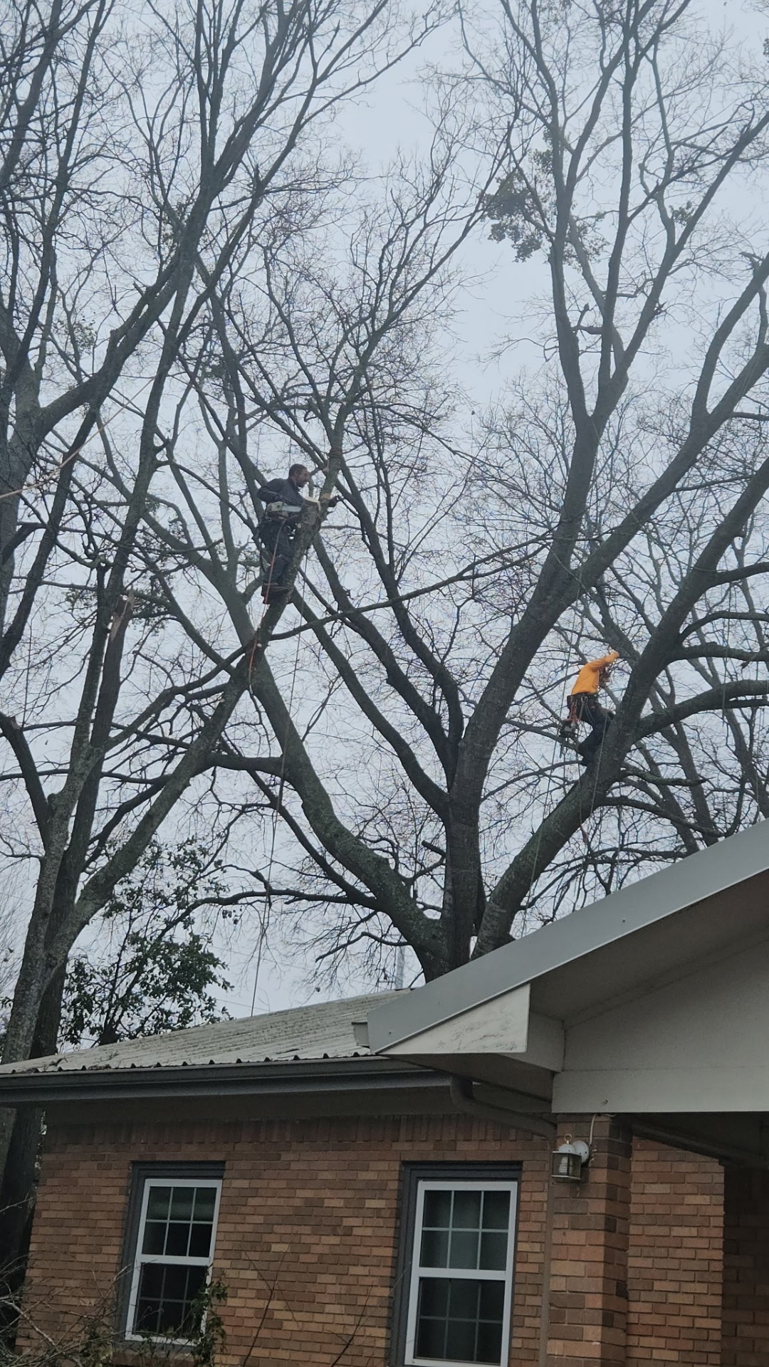 Emergency Storm Damage project 5
